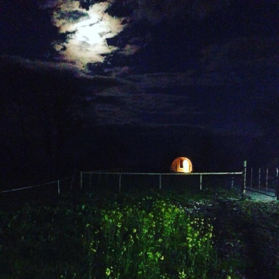 Carrigeen Glamping Kilkenny Exterior photo